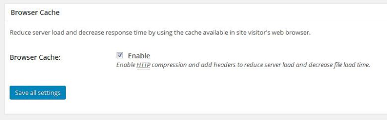 Browser Cache
