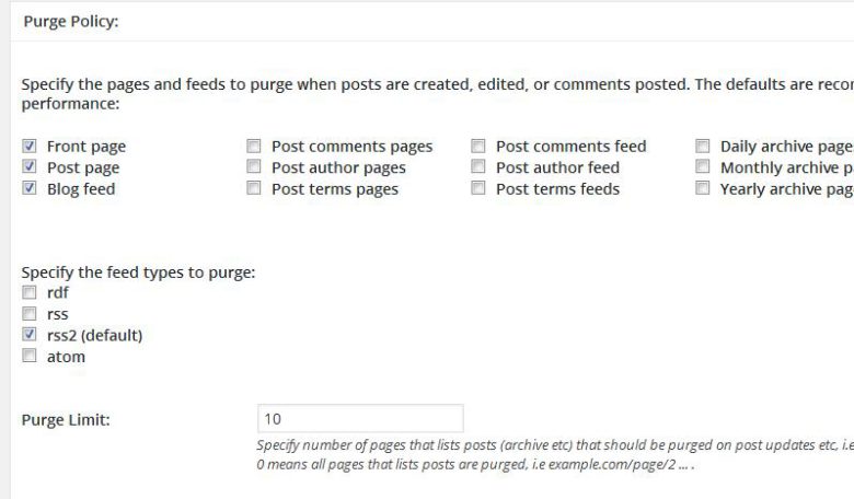 Purge Policy